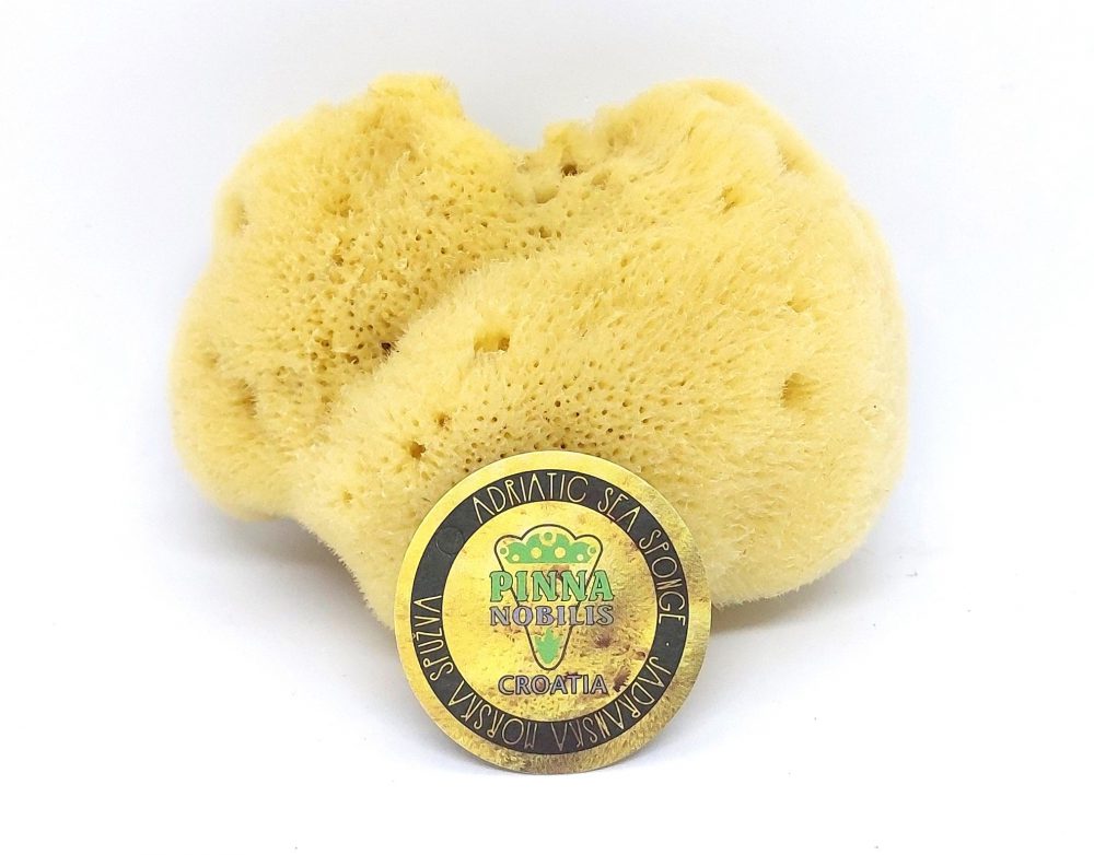 morska spužva sea sponge